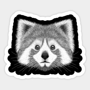 Red Panda B&W Sticker